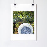 Load image into Gallery viewer, Blueberry summer
